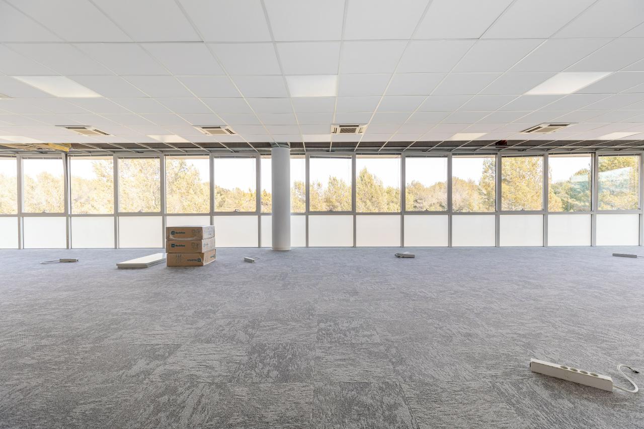 Bureau Biot 1385m² Location bureau Biot Alpes-Maritimes OLBUR2114858 11